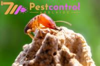 711 Termite Pest Control Adelaide image 10